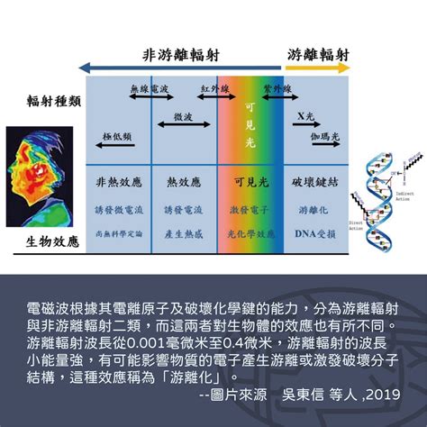 電線桿癌症|電磁波會造成癌症嗎